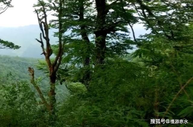 尽量选房龄小的房源多关注核心地段